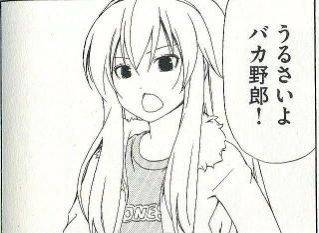 うるさいよバカ野郎！