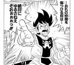 …おれの仲間を傷つける奴は…絶対にゆるさねえぞおぉぉぉっ‼