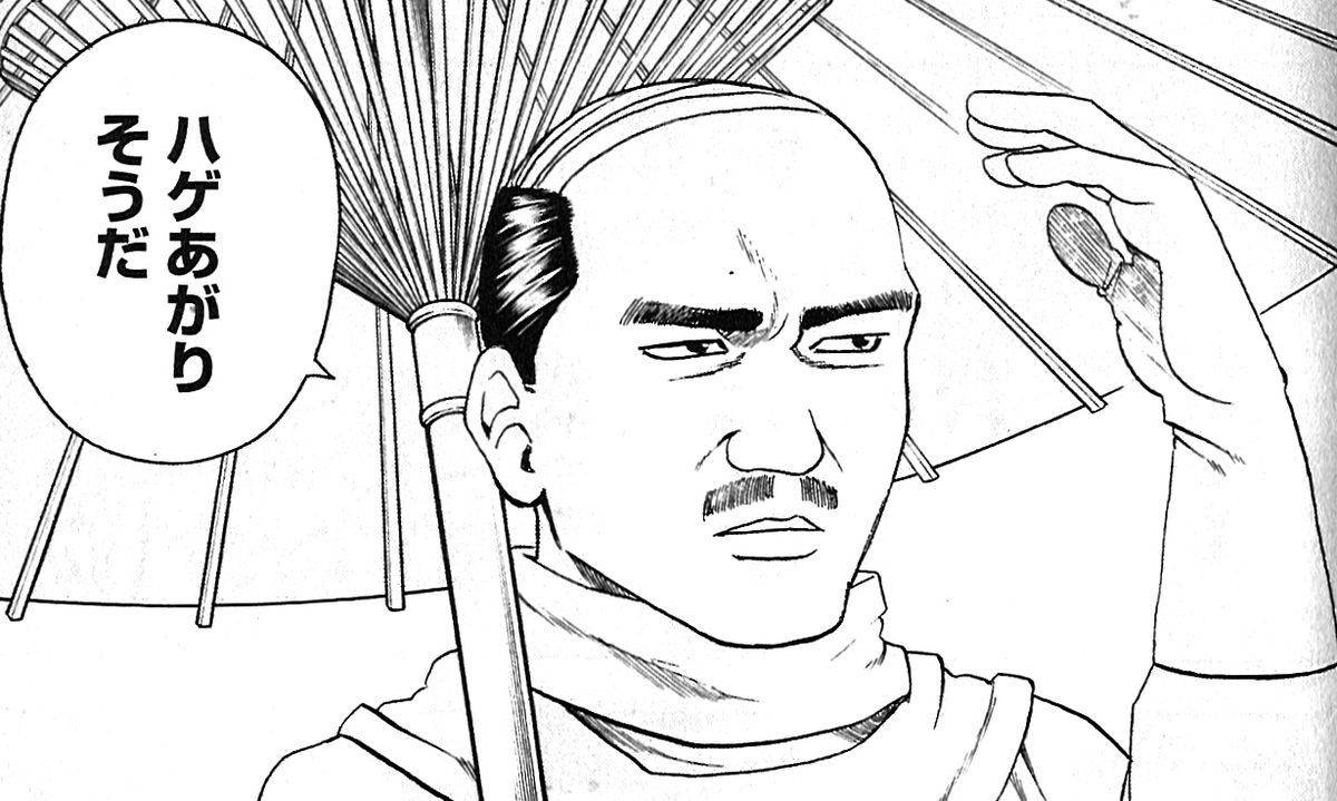 ハゲあがりそうだ