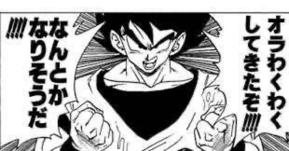 オラわくわくしてきたぞ！！！！なんとかなりそうだ！！！！