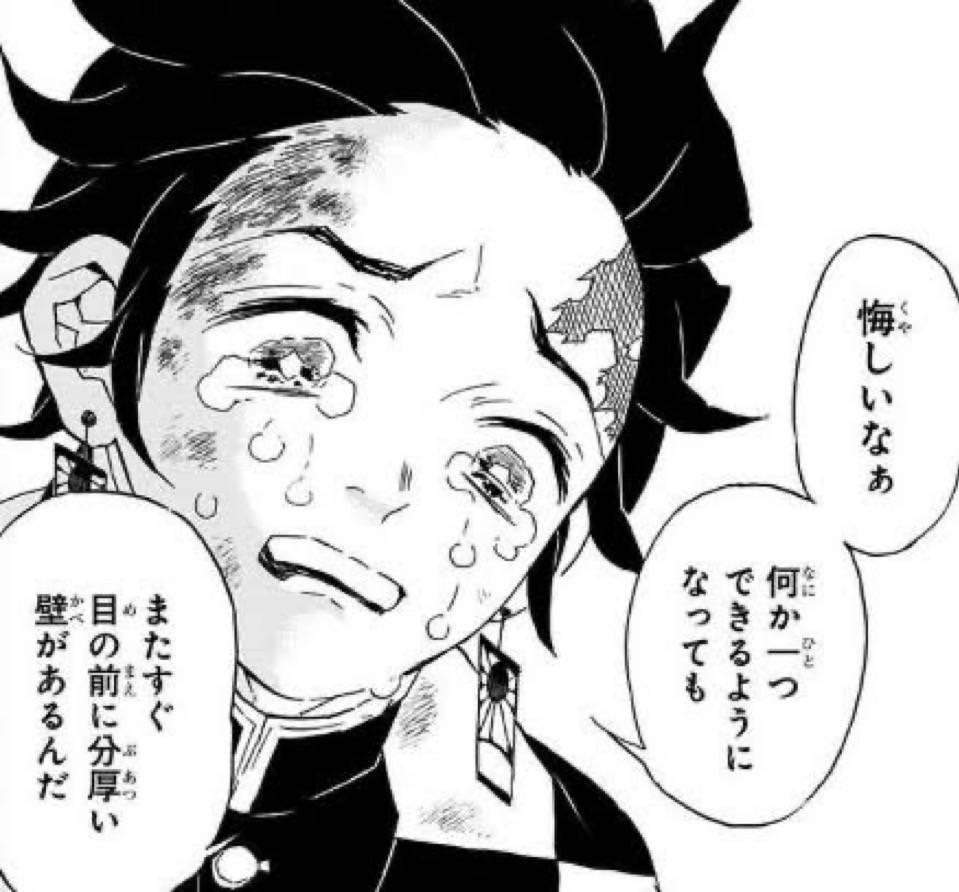 悔しいなぁ　何か一つできるようになっても　またすぐ目の前に分厚い壁があるんだ