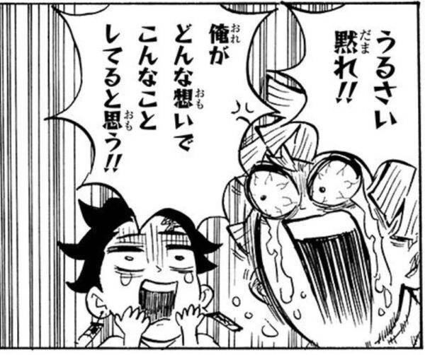 うるさい黙れ‼俺がどんな想いでこんなことしてると思う‼