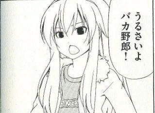 うるさいよバカ野郎！