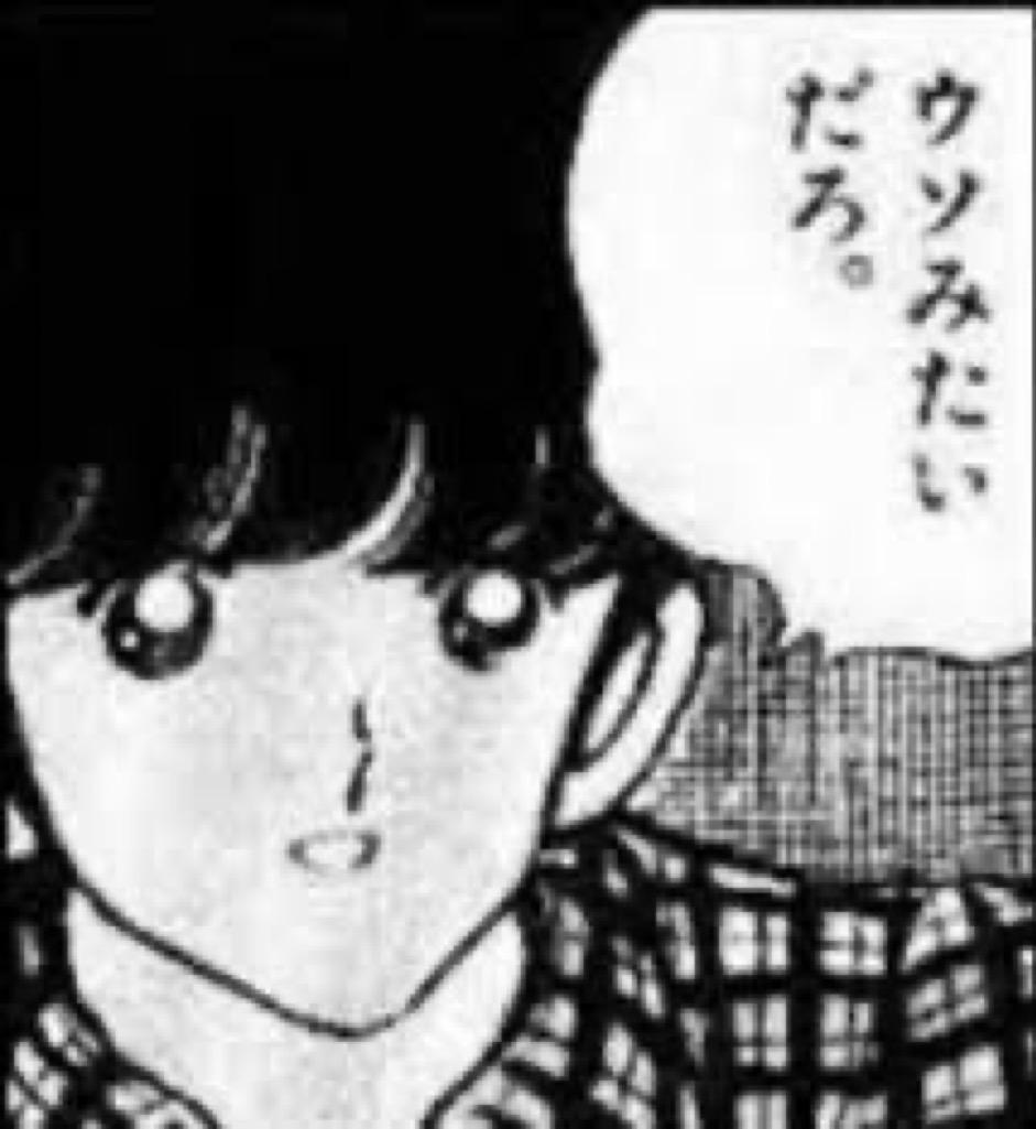 ウソみたいだろ。