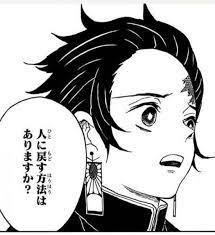 人に戻す方法はありますか?