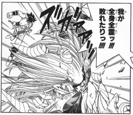 我が全身全霊ッ‼ 敗れたりっ‼‼