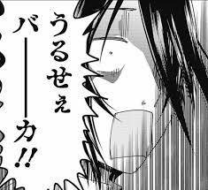 うるせぇバーーーカ‼